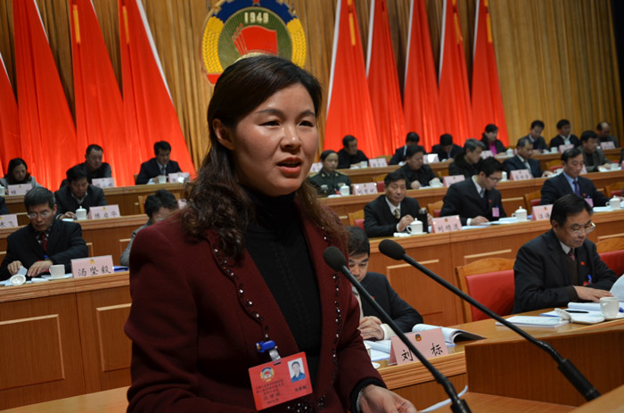 市政协三届四次会议举行第二次全体会议 中国人民政治协商会议宣城
